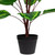 Two-Tone Calathea Artificial Potted Plant - 30" - IMAGE 4
