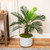 Artificial Miniature Potted Palm Plant - 35" - IMAGE 1