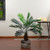 35" Green Artificial Miniature Potted Palm Plant - IMAGE 2