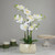 Real Touch™️ Artificial Orchid Plant in a White Oval Pot - 22" - White and Yellow - IMAGE 2