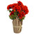 20" Orange Fall Harvest Artificial Mum Plant in a Pot - IMAGE 4
