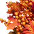 Mums and Berries with Fiery Foliage Fall Harvest Wreath - 24" - IMAGE 6