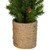 16.5" Mini Artificial Christmas Tree with Pinecones - Unlit - IMAGE 3