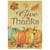 Give Thanks Pumpkin Fall Harvest Outdoor House Flag - 40" x 28" - IMAGE 2