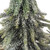 Frosted Downswept Pine Tree Trio Christmas Decoration - 11" - IMAGE 4