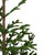 Real Touch™ Ponderosa Pine Artificial Christmas Tree with Jute Base- Unlit - 5.25' - IMAGE 4