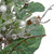 25" Artificial Mixed Foliage and Berries Christmas Wreath Unlit - IMAGE 3