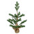 Real Touch™️ Ponderosa Pine Medium Artificial Christmas Tree Jute Base Decoration – Unlit - 2' - IMAGE 2