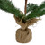 Real Touch™️ Ponderosa Pine Medium Artificial Christmas Tree Jute Base Decoration – Unlit - 2' - IMAGE 5