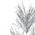 26" Silver Pine Artificial Christmas Pick - IMAGE 2