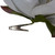 7" Gray Artificial Magnolia Clip-On Christmas Ornament - IMAGE 3