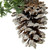 13" Frosted Pine Cone with Mixed Foliage Christmas Ornament - IMAGE 3