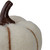 5" Cream and Brown Fall Harvest Tabletop Pumpkin - IMAGE 4