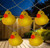 Rubber Ducky Indoor Outdoor Patio Light Set - Yellow - 6' Clear Wire - 10ct - IMAGE 1