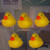 Rubber Ducky Christmas Light Set - 6-ft Clear Wire - 10ct - IMAGE 4
