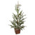 Potted Frosted Pine Artificial Christmas Tree - 28" – Unlit - IMAGE 1