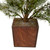 Potted Frosted Pine Artificial Christmas Tree - 28" – Unlit - IMAGE 3
