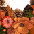 Shaved Wood Flowers with Gourds Small Artificial Fall Harvest Wreath - 13.25"