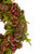 Real Touch™️Glittered Pine and Pinecone Small Artificial Christmas Wreath - 13" - Unlit - IMAGE 4
