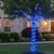 Flexible Incandescent Outdoor Christmas Rope Light - Blue - 100' Blue Wire - IMAGE 4