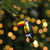 4.75" Black and Gold Glass Toucan Bird Christmas Ornament - IMAGE 2