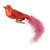 Glitter Winged Bird Clip On Glass Christmas Ornament - 5.5" - Orange Red and Pink - IMAGE 1