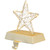 7" LED Lighted Gold Wired Star Christmas Stocking Holder