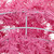 36" Pink Spruce Artificial Christmas Wreath, Unlit - IMAGE 6