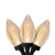 C9 LED Christmas Lights - Warm White - 16' Black Wire - 25ct - IMAGE 1