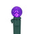 LED G12 Berry Faceted Christmas Lights - Purple - 15.9' Green Wire - 50ct - IMAGE 4