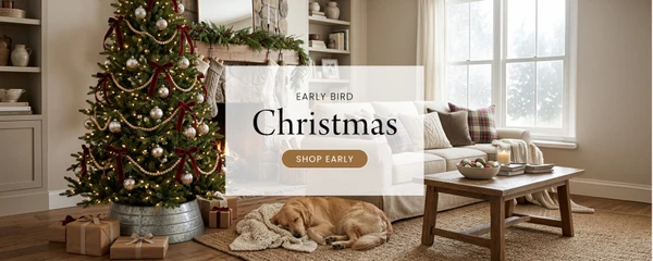 The picture christmascentral.com shows when its homepage is shared