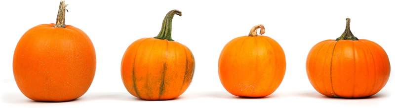 6 Tips for Decorating with Pumpkins