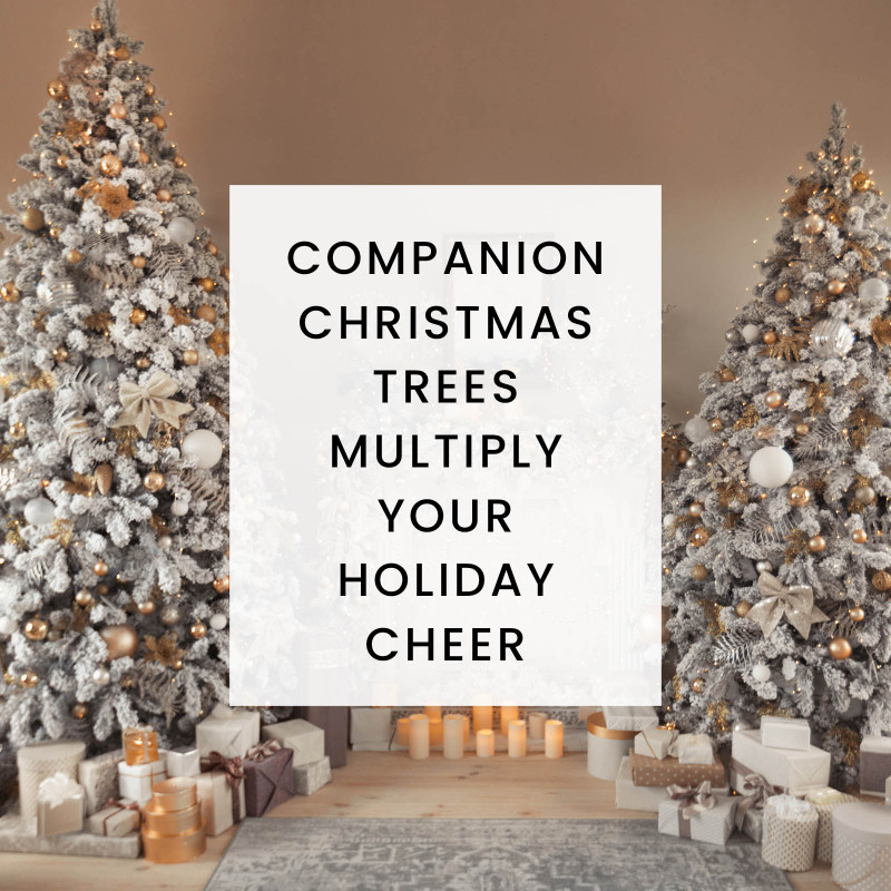 Companion Christmas Trees Multiply Your Holiday Cheer Christmas Central