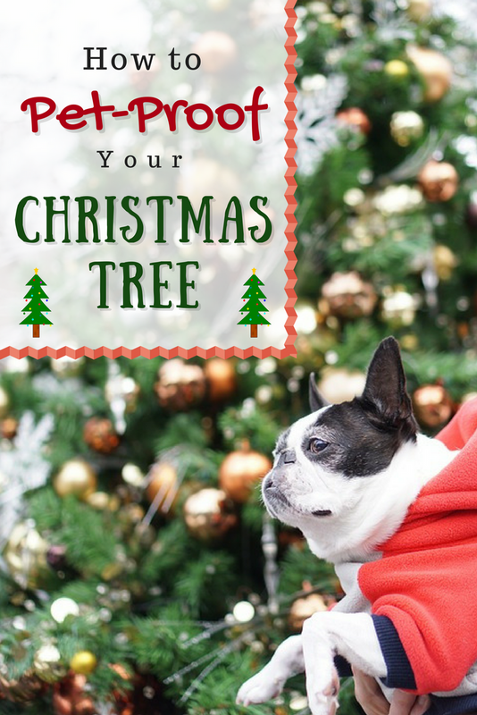 How to PetProof a Christmas Tree Christmas Central