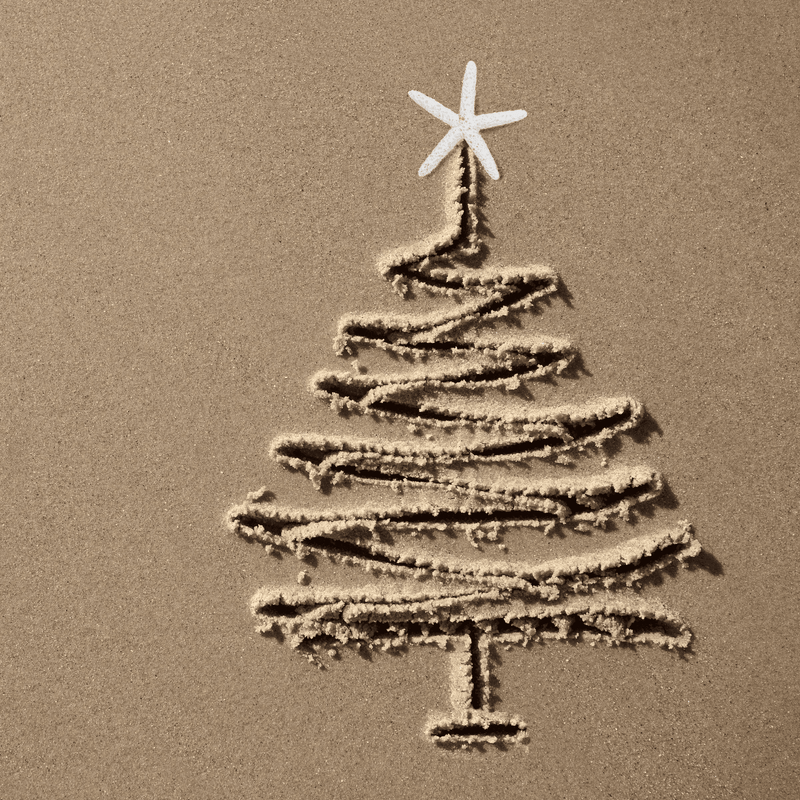 How to Create a Beach Themed Christmas Tree