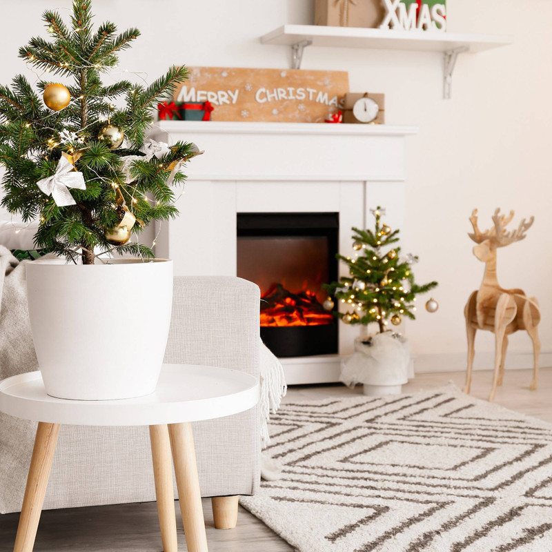 The Ultimate Guide to Choosing Your Ideal Small Christmas Tree