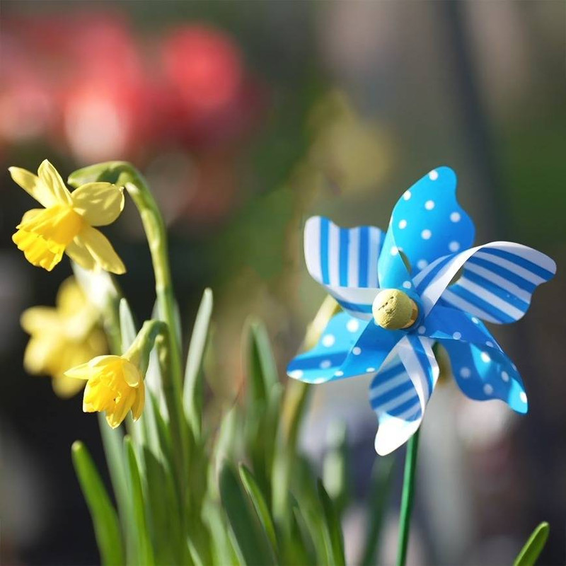 Don't Let the Wind Win: How to Weatherproof Your Patio Furniture