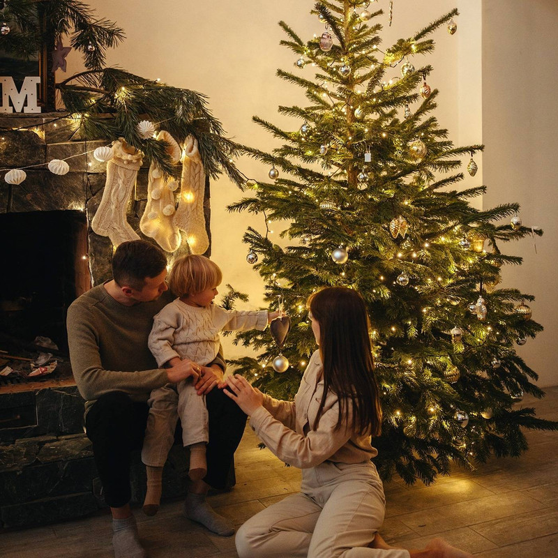 Spruce Up Your Season: Quick Tips for Picking the Perfect Christmas Tree