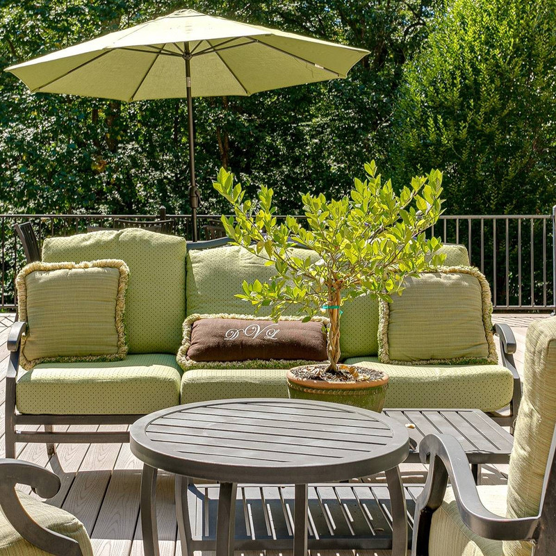 Make Your Outdoor Space Shine: Easy Steps for Summer Prep