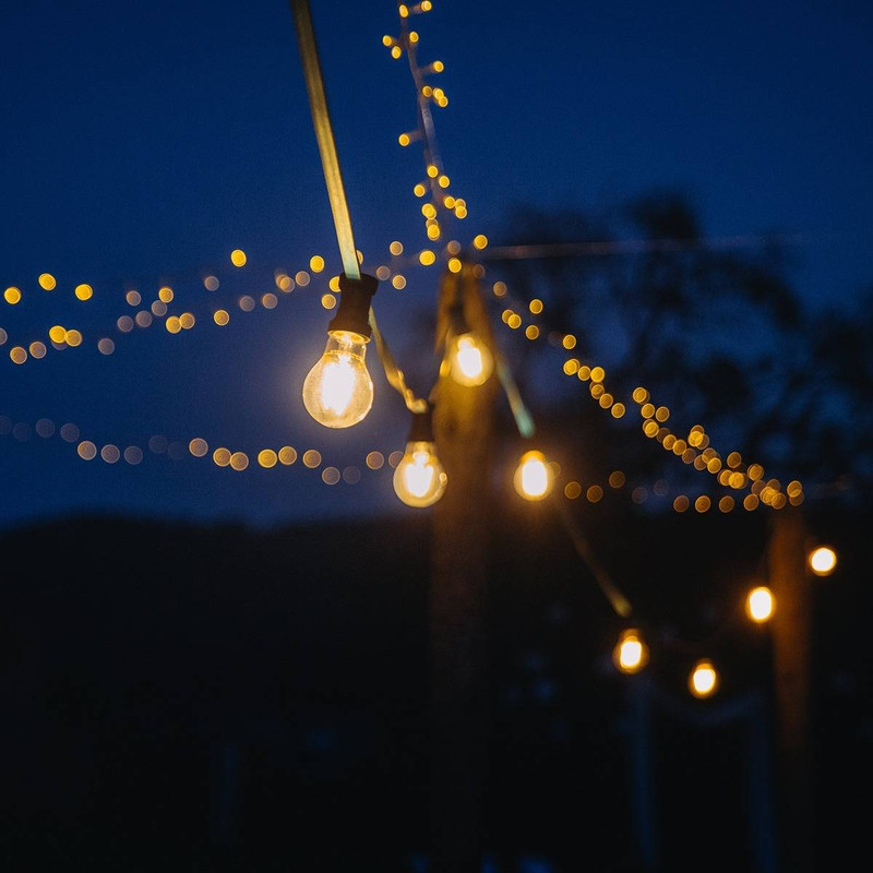 From Treetop to Ground Cover: How to Layer Your Yard with Light