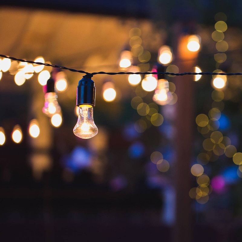 From Treetop to Ground Cover: How to Layer Your Yard with Light