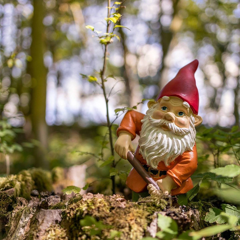 Little Garden Gnomes Bring Big Whimsy to the Yard