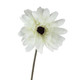 21.5" Brown & Cream Colored Leafless Gerbera Daisy Artificial Floral ...