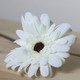 21.5" Brown & Cream Colored Leafless Gerbera Daisy Artificial Floral ...
