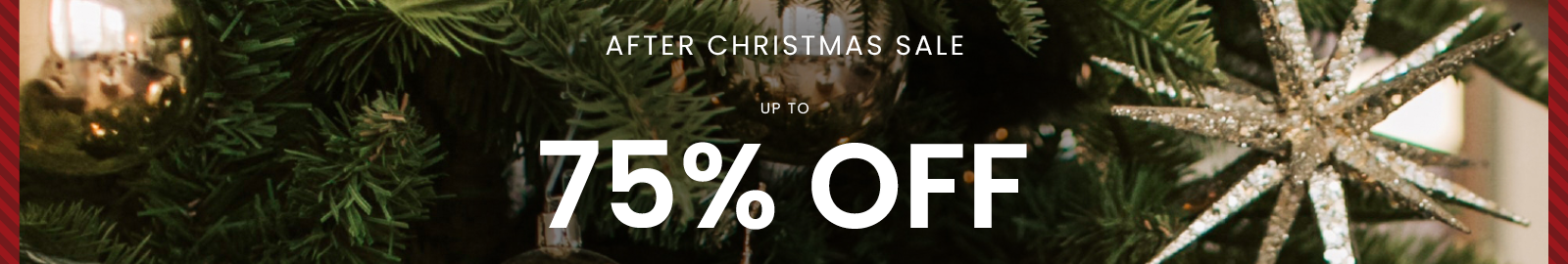 After Christmas Sale