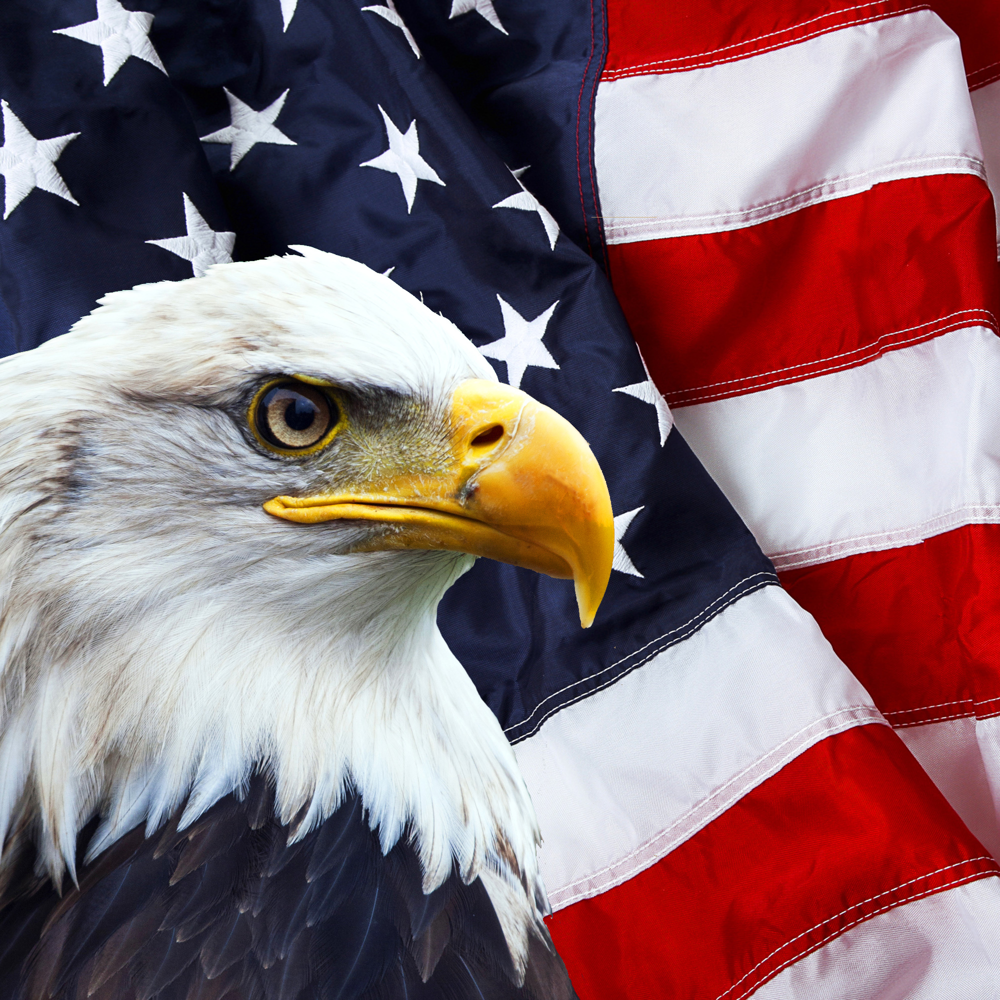 The profile of an American eagle against a backdrop of the American flag