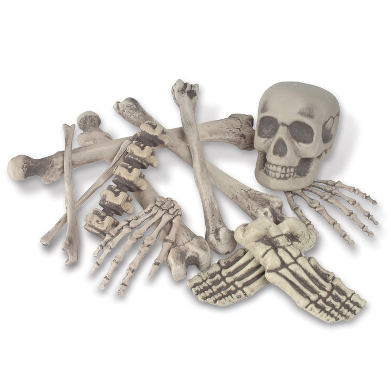 spooky skeleton bag of bones