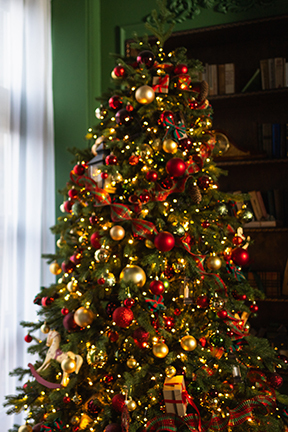 How to Hang Christmas Lights on a Christmas Tree