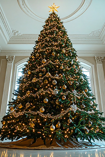 How to Choose and Decorate a Tall Christmas Tree