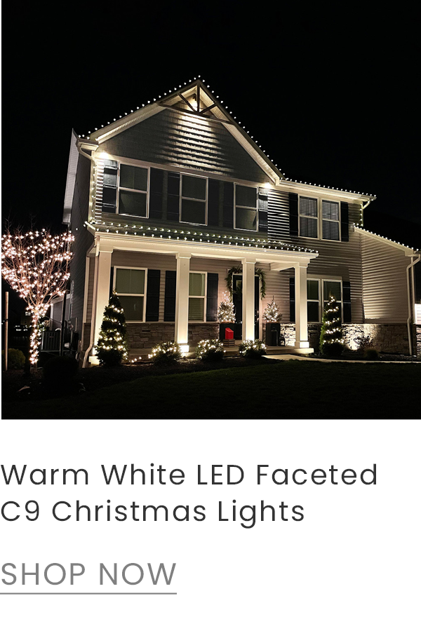 warm white LED faceted Christmas lights